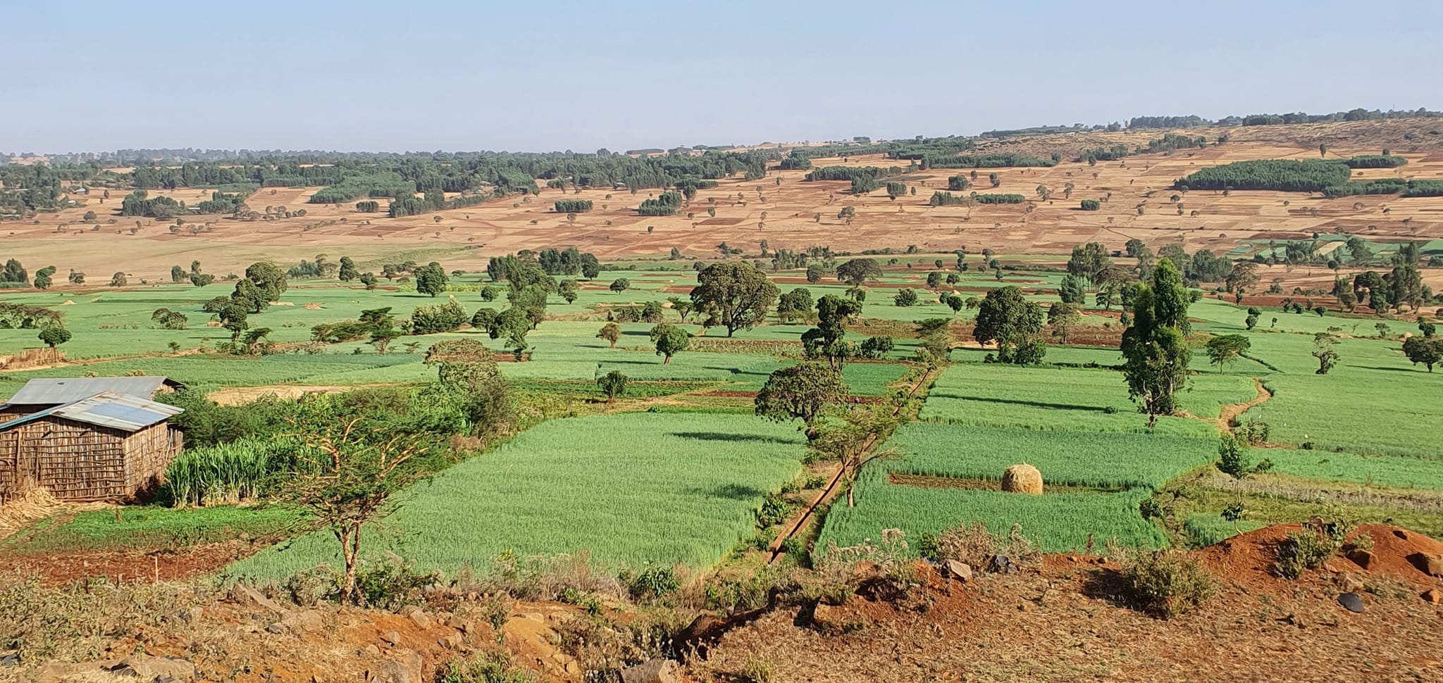 sx
